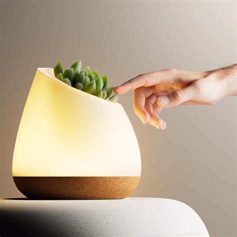Magical planter lamp available for purchase
